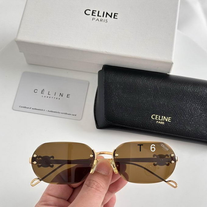 Celine Sunglasses ID:20240804-60